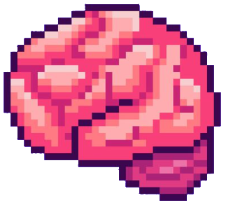 human brain